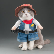 Load image into Gallery viewer, Spring and autumn pet cat costume
