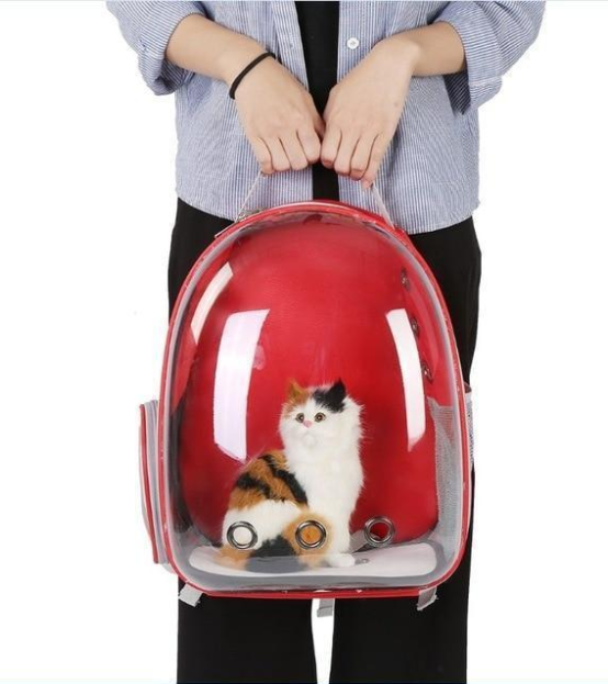 Out of This World Cat Carrier