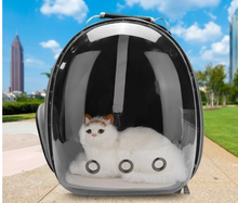 Load image into Gallery viewer, Out of This World Cat Carrier
