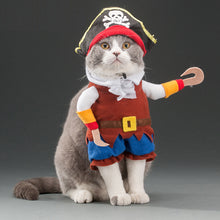 Load image into Gallery viewer, Spring and autumn pet cat costume
