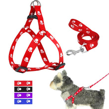 Load image into Gallery viewer, Printed dog leash
