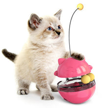 Load image into Gallery viewer, Lucky Cat Track Turntable Ball Toy
