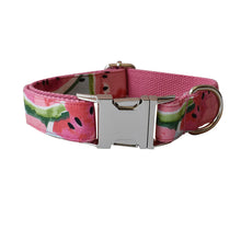 Load image into Gallery viewer, Pet Supplies Dog Collar Pet Leash
