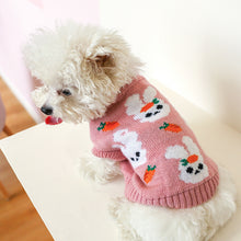 Load image into Gallery viewer, &quot;Cold Weather Blues&quot; Knit Dog Sweater
