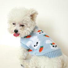 Load image into Gallery viewer, &quot;Cold Weather Blues&quot; Knit Dog Sweater
