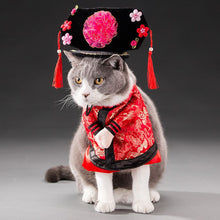 Load image into Gallery viewer, Spring and autumn pet cat costume
