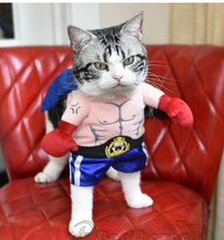 Load image into Gallery viewer, &quot;Ain&#39;t Messin&#39; Around&quot; Boxer Cat Costume
