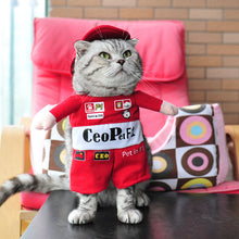 Load image into Gallery viewer, Spring and autumn pet cat costume
