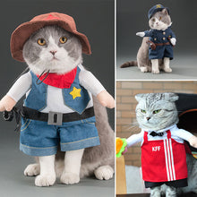 Load image into Gallery viewer, Spring and autumn pet cat costume
