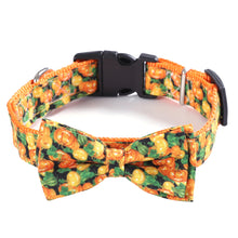 Load image into Gallery viewer, Happy Howl-oween Pet Collars
