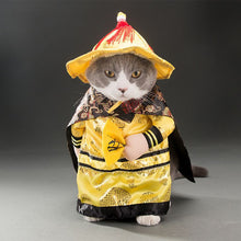 Load image into Gallery viewer, Spring and autumn pet cat costume
